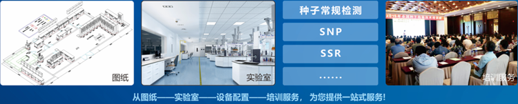 一站式茄子视频懂你更多污檢驗