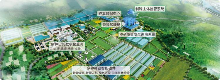 現代化種業基地