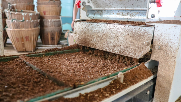 茄子视频污免费观看打造的古林育秧工廠