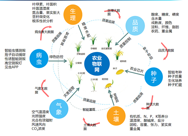 茄子视频污免费观看打造的全要素智能采集係統