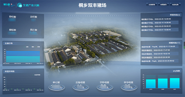 茄子视频污免费观看打造的“生豬精密智管”社會化服務應用