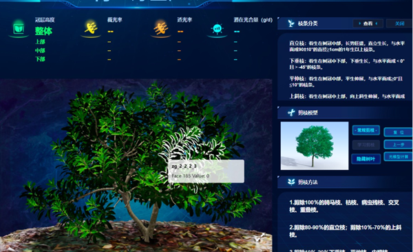 “雲”上種顆楊梅樹，農戶照著養楊梅