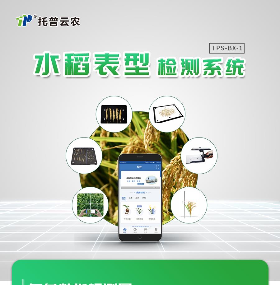 水稻表型檢測係統 水稻表型檢測係統