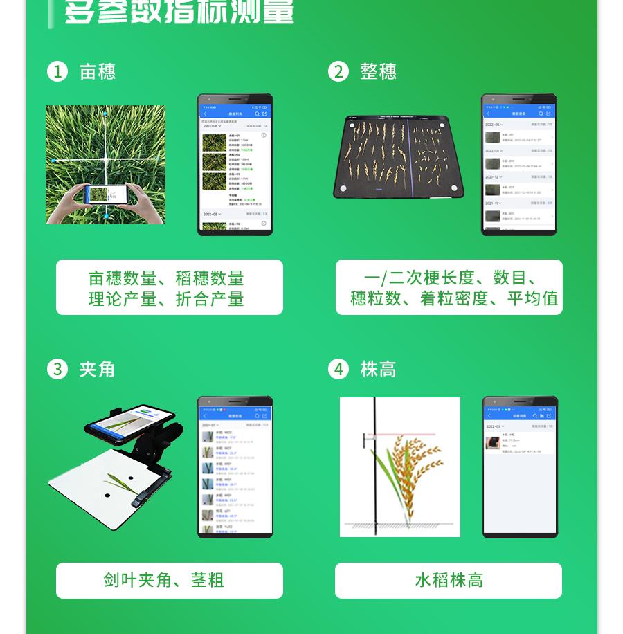水稻表型檢測係統 水稻表型檢測係統