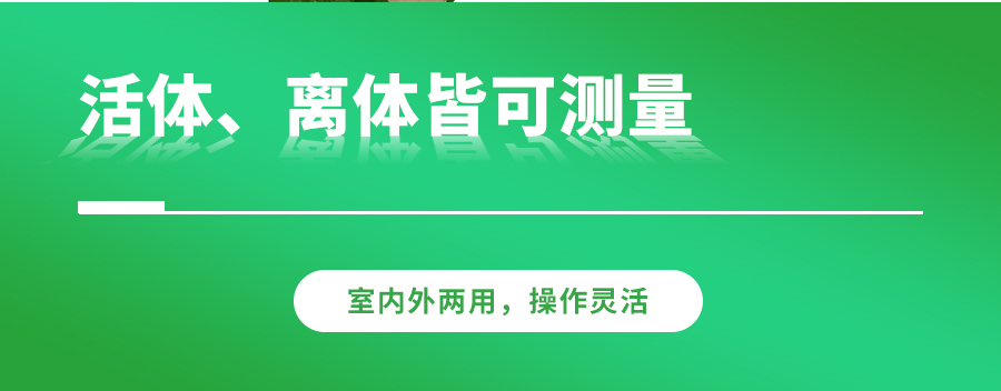 光合作用測定儀 光合作用測定儀