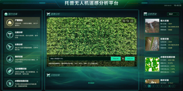 seo-4.png