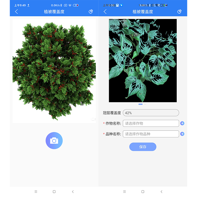 森林覆蓋度.png