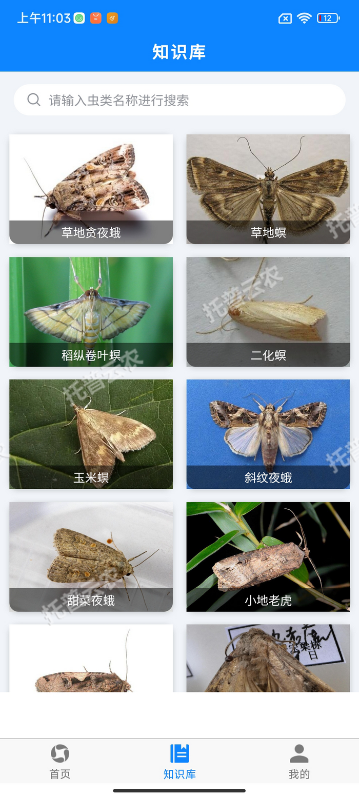 5、害蟲知識庫.png