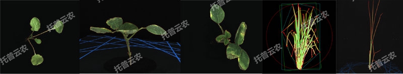 逆境模擬及植物生長監測平台-2維.jpg