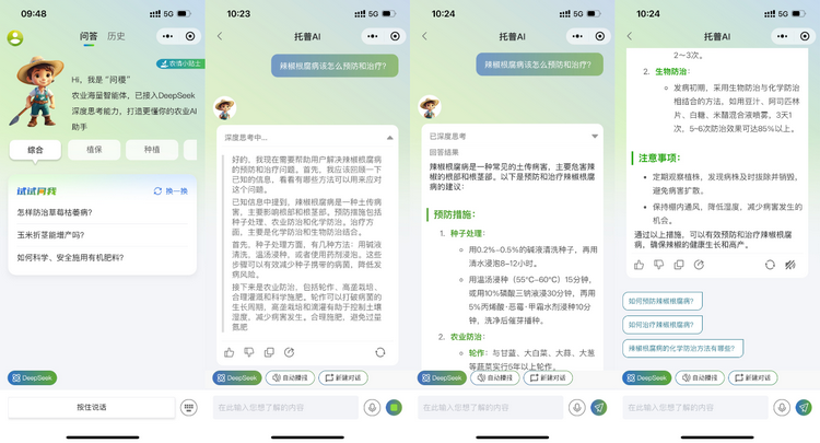 問答界麵.png