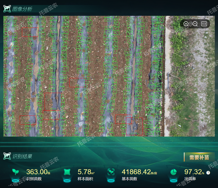 出，苗率.png