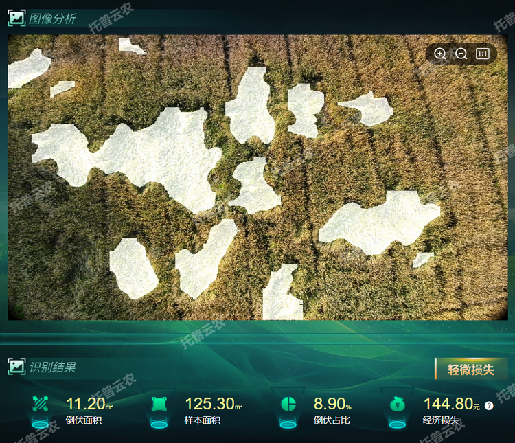 倒伏分析.png
