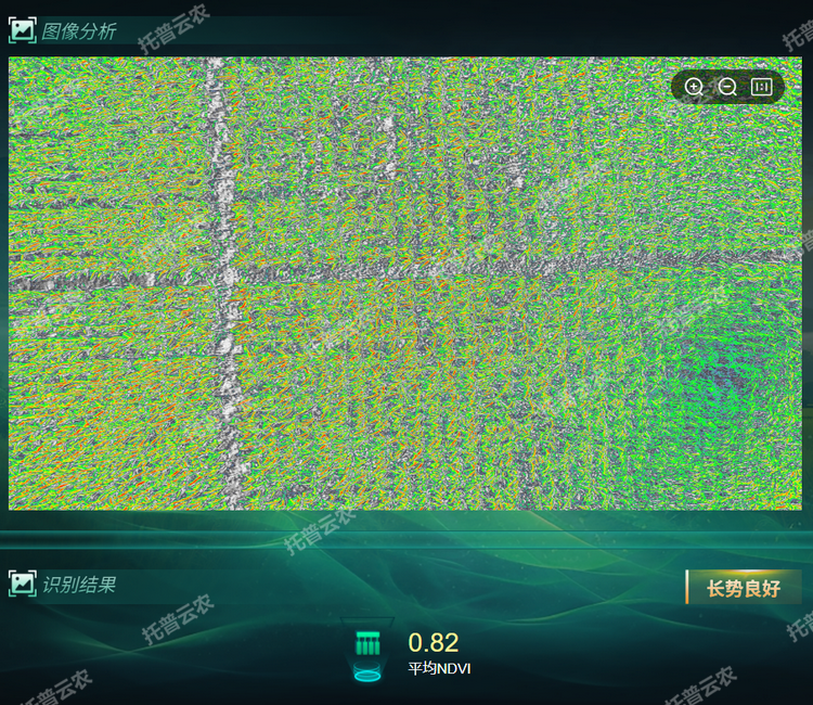 長勢分析.png
