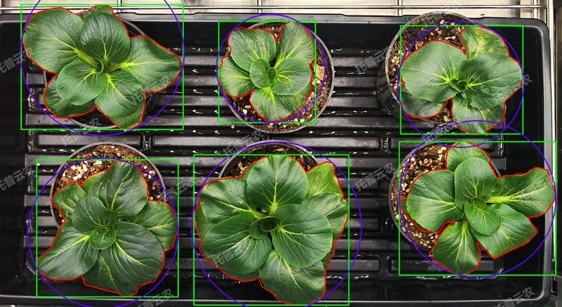 表型分析-環控型植物生長表型分析係統.jpg